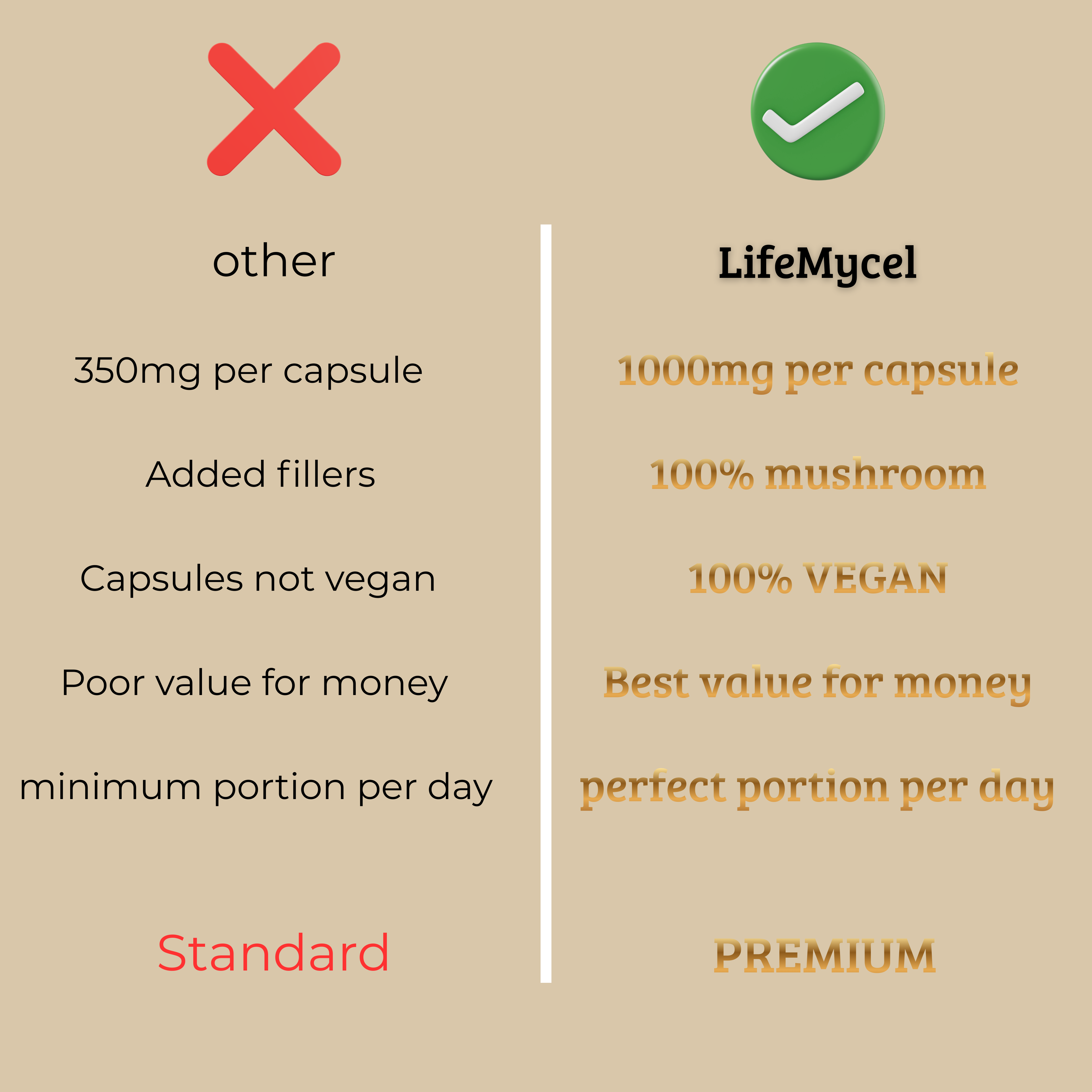 LifeMycel - Lion's Mane