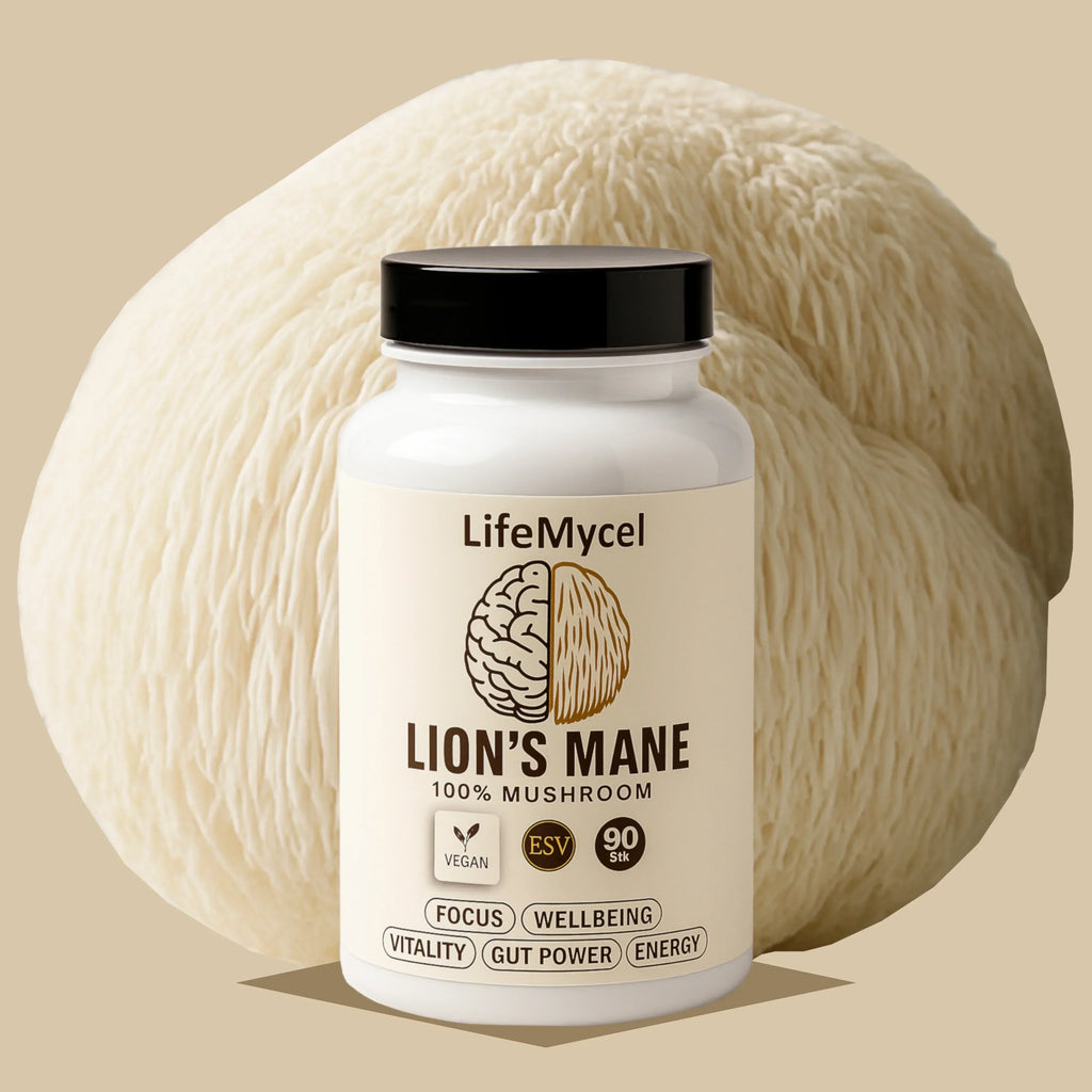 LifeMycel - Lion's Mane