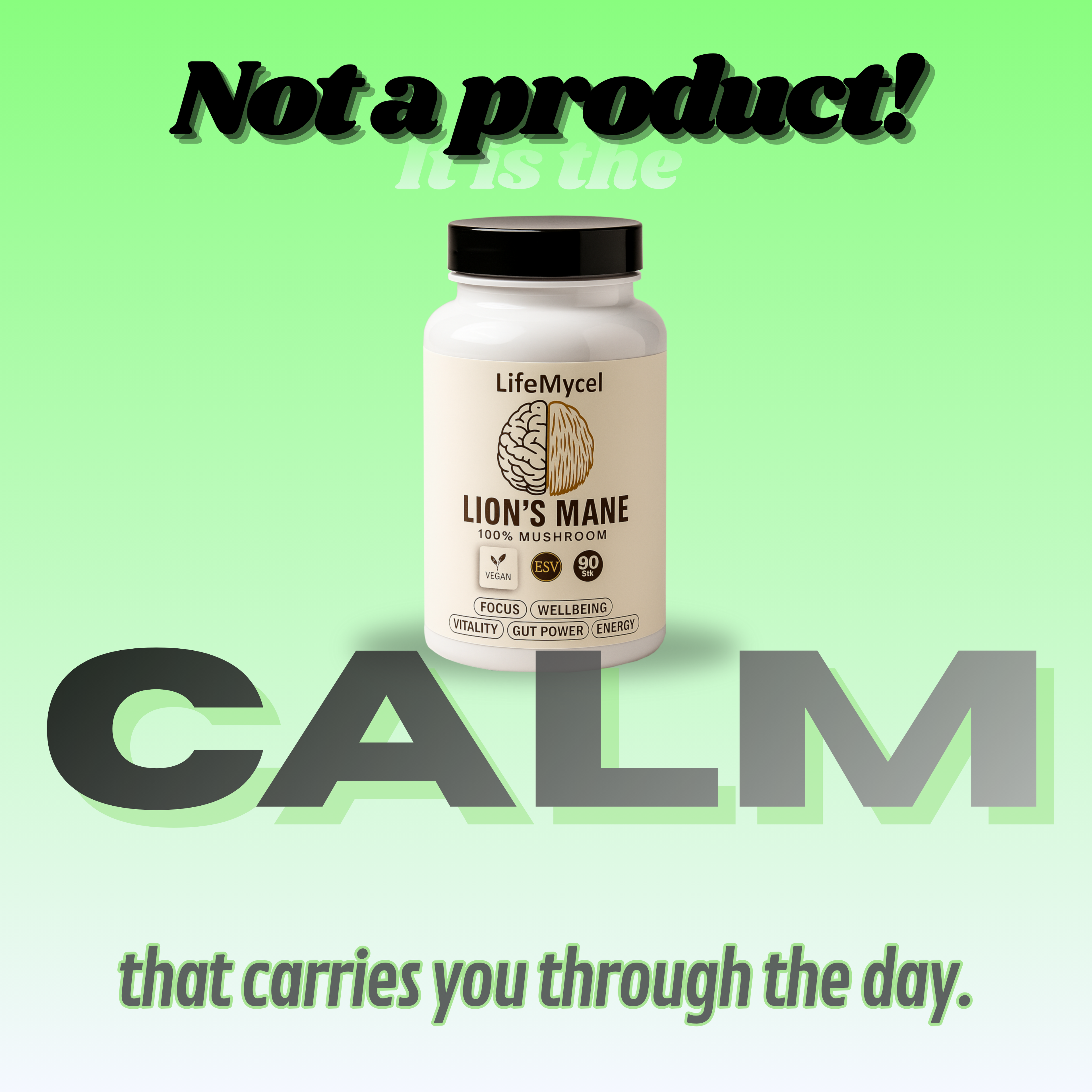 LifeMycel - Lion's Mane 2-Pack