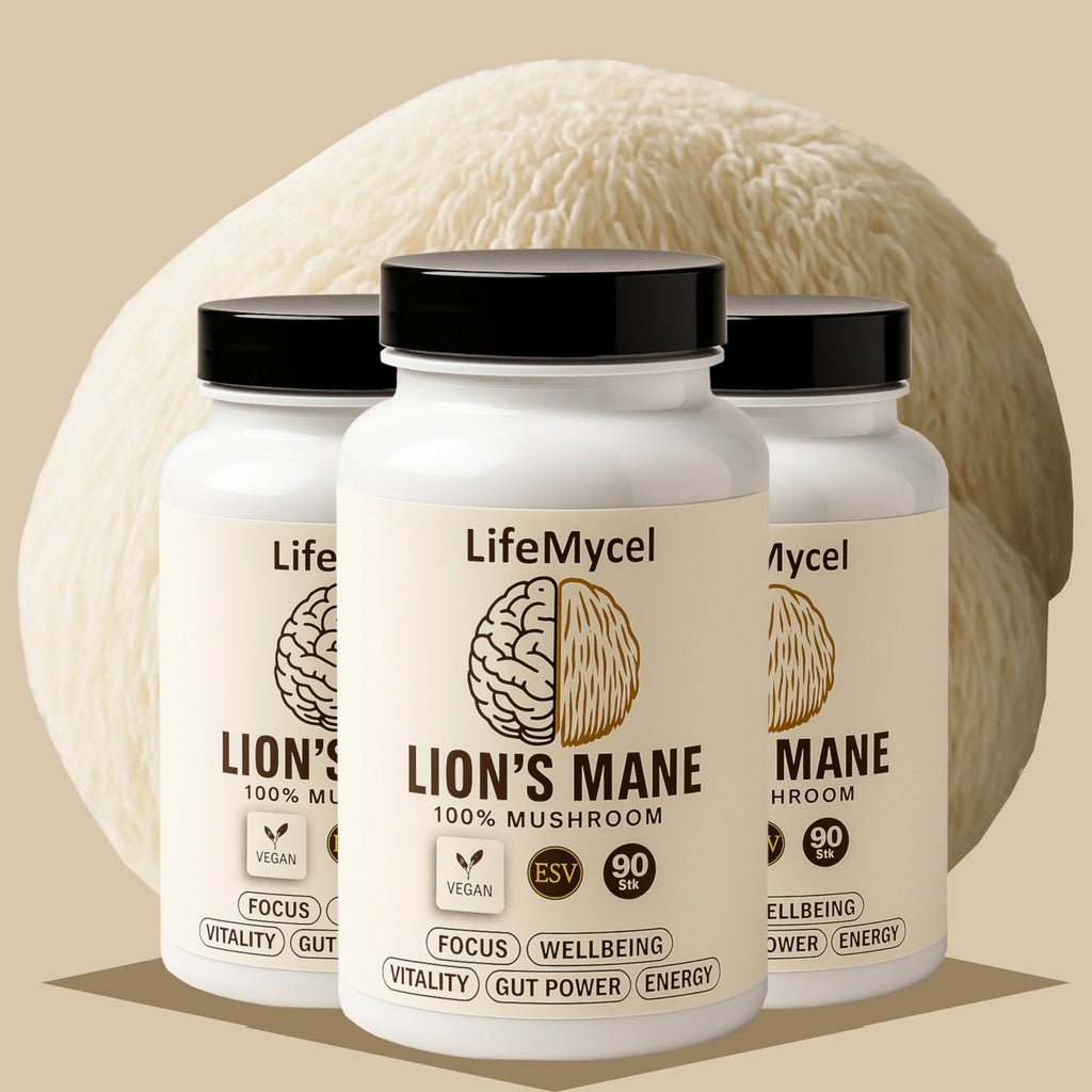LifeMycel - Lion's Mane 3-Pack