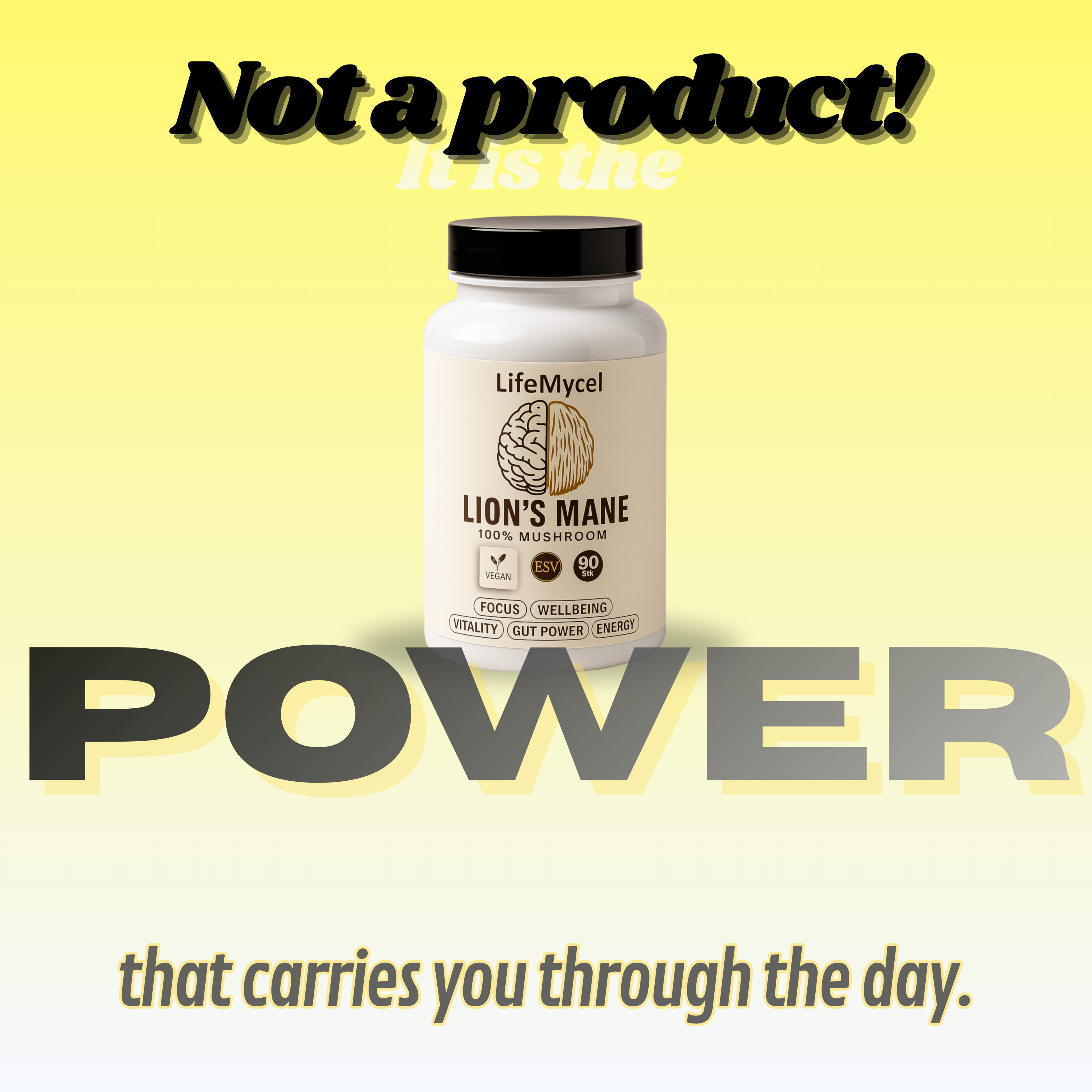 LifeMycel - Lion's Mane 2-Pack